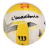 Logo Academia de Voleibol Barcelona